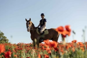 Horse Sanctuary in Rome