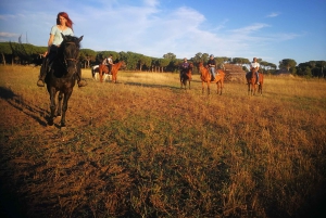 Hevosten suojelualue Roomassa