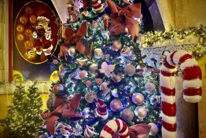 Attractiepark Magicland: toegangsbewijs voor Magic Christmas