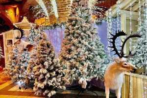 Attractiepark Magicland: toegangsbewijs voor Magic Christmas