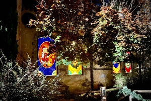 Attractiepark Magicland: toegangsbewijs voor Magic Christmas