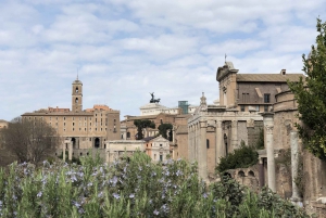 Nativities and Masterpieces: Christmas Tour in Rome