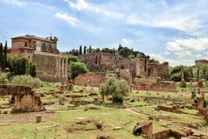 Omnia Vatican and Rome Pass: attrazioni principali e travelcard