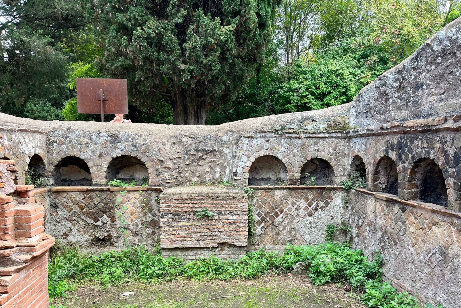 Ostia Antica -kierros ja kuljetus: Henkilökohtainen tai ryhmä Max. 8