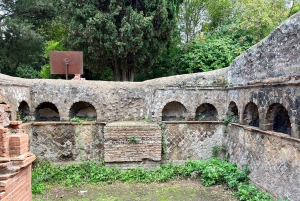Excursión a Ostia Antica con Traslado: Privado o Grupo de Max. 8