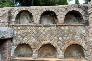Excursión a Ostia Antica con Traslado: Privado o Grupo de Max. 8