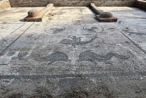Excursión a Ostia Antica con Traslado: Privado o Grupo de Max. 8