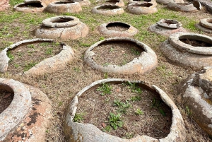 Excursión a Ostia Antica con Traslado: Privado o Grupo de Max. 8