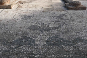 Ostia Antica -kierros ja kuljetus: Henkilökohtainen tai ryhmä Max. 8