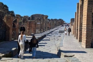 Pompeii Express: High-Speed Train from Rome