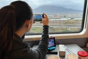 Pompeii Express: High-Speed Train from Rome