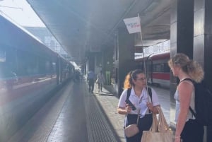 Pompeii Express: High-Speed Train from Rome