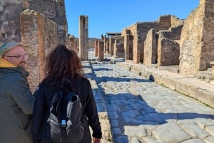 Pompeii Express: High-Speed Train from Rome