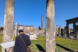 Pompeii Express: High-Speed Train from Rome