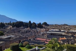 Pompeii Express: High-Speed Train from Rome