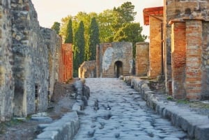 Pompeii Express: High-Speed Train from Rome