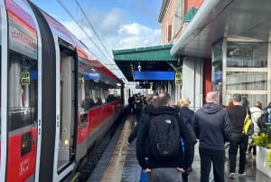 Pompeii Express: High-Speed Train from Rome