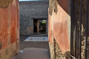 Pompeii Express: High-Speed Train from Rome