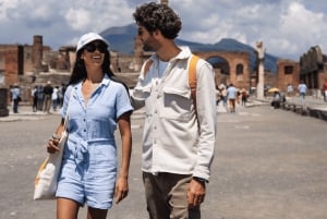Pompeii Express: High-Speed Train from Rome