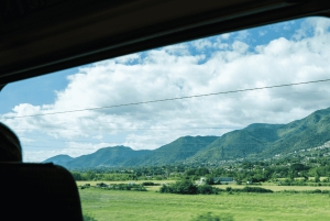 Pompeji Express: Pompeji: Suurnopeusjuna Roomasta