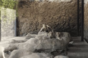 Pompeji og Herculaneum med højhastighedstog fra Rom og frokost