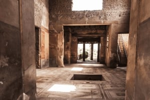 Pompeji og Herculaneum med højhastighedstog fra Rom og frokost