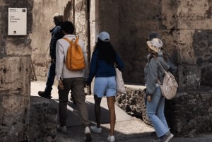 Pompeji og Herculaneum med højhastighedstog fra Rom og frokost