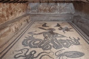 Pompeji og Herculaneum med højhastighedstog fra Rom og frokost