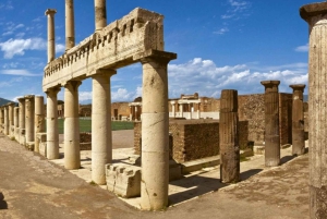 Pompeii Naples: private tour from Rome with visit to the excavations and lunch in Naples