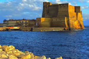Pompeii Naples: private tour from Rome with visit to the excavations and lunch in Naples