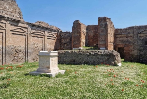 Pompeii, Positano and Amalfi Coast Private Day from Rome