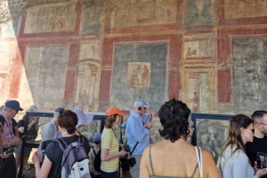 Pompeii, Positano and Amalfi Coast Private Day from Rome