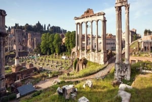 Tour privado con guía por el Coliseo, el Foro y el Palatino