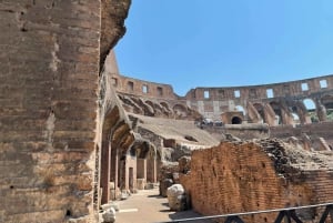Tour privado con guía por el Coliseo, el Foro y el Palatino