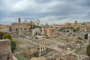 Tour privado con guía por el Coliseo, el Foro y el Palatino