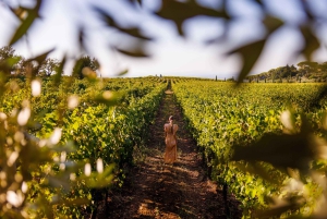 Disfruta de la campiña romana: cata de vino exclusiva