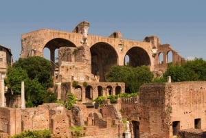 Roma: Foro Romano e Palatino Tour guidato con licenza