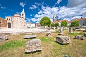 Roma: Foro Romano e Palatino Tour guidato con licenza