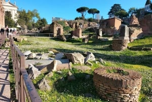 Roma: Foro Romano e Palatino Tour guidato con licenza