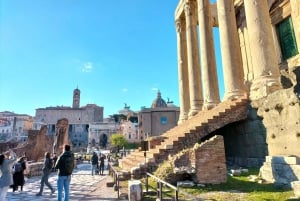 Roma: Foro Romano e Palatino Tour guidato con licenza