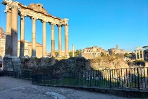 Roma: Foro Romano e Palatino Tour guidato con licenza