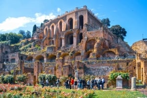 Roma: Foro Romano e Palatino Tour guidato con licenza