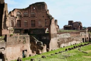 Roman Forum and Palatine Hill Super Sites Private Tour