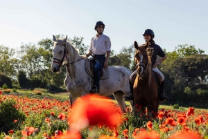 Romantisk dag i det gamle Rom
