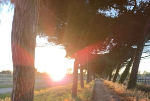 Romantisk dag i det gamle Rom