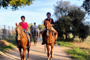 Romantisk dag i det gamle Rom