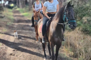 Romantisk dag i det gamle Rom