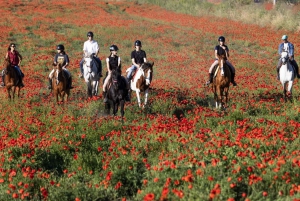 Romantisk dag i det gamle Rom