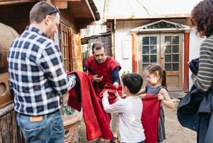Roma: Scuola per gladiatori di 2 ore