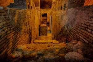 ローマ：20ヶ所以上の主要観光スポットパス＆乗り降り自由バスツアー